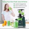 Aeitto Cold Press Juicer Review High Yield Slow Masticating Juicer Performance