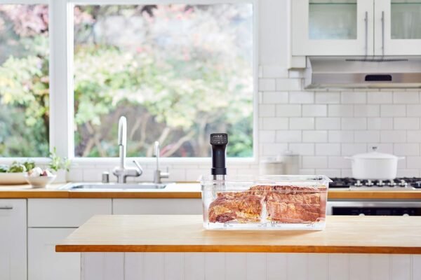 Anova Culinary Sous Vide Precision Cooker Pro Review Perfect For Serious Home Chefs
