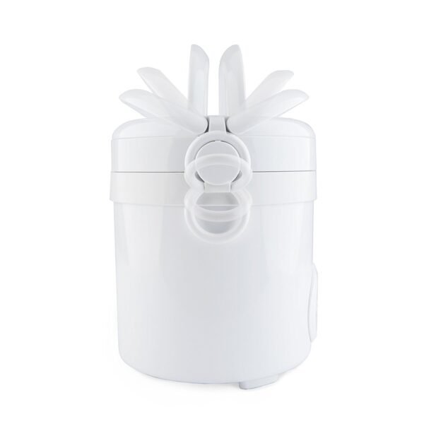 Aroma Mini Rice Cooker Review Digital Controls and Compact Design for Small Kitchens