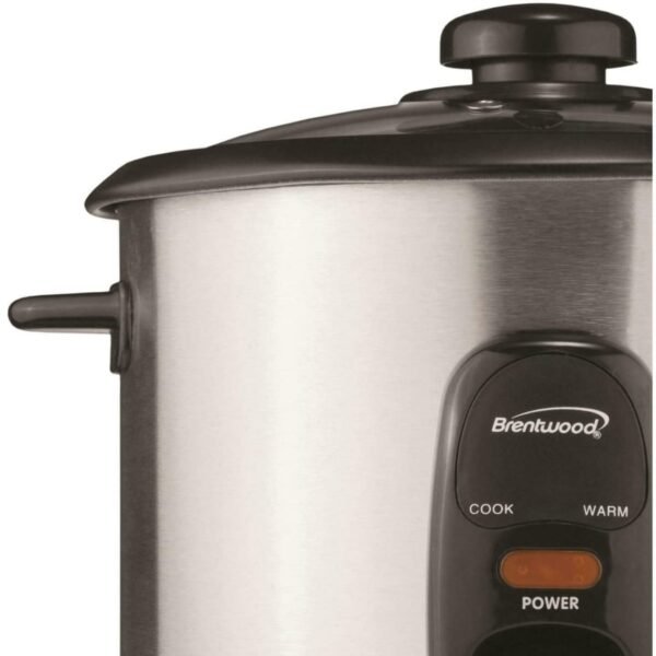 Brentwood Rice Cooker TS-10 Review Reveals Stainless Steel 5-Cup Model Performance
