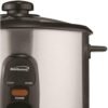 Brentwood Rice Cooker TS-10 Review Reveals Stainless Steel 5-Cup Model Performance