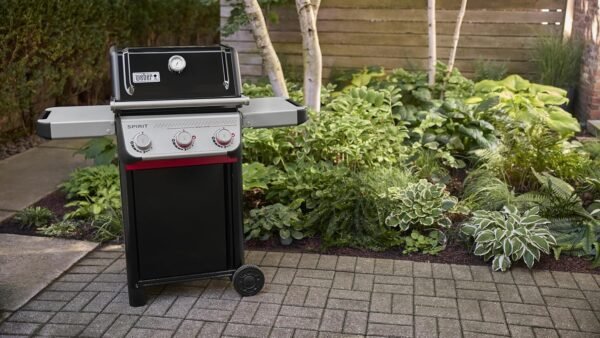 Comprehensive Review of Weber Spirit Gas Grill E-325 Best Propane Grill for BBQ Fans Comprehensive Review of Weber Spirit Gas Grill E-325 Best Propane Grill for BBQ Fans