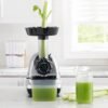 In-Depth Review of Omega Masticating Juicer Cold Press Machine for Celery In-Depth Review of Omega Masticating Juicer Cold Press Machine for Celery