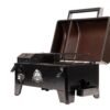 In-Depth Review of PIT BOSS Table Top Pellet Grill Mahogany Temperature Control