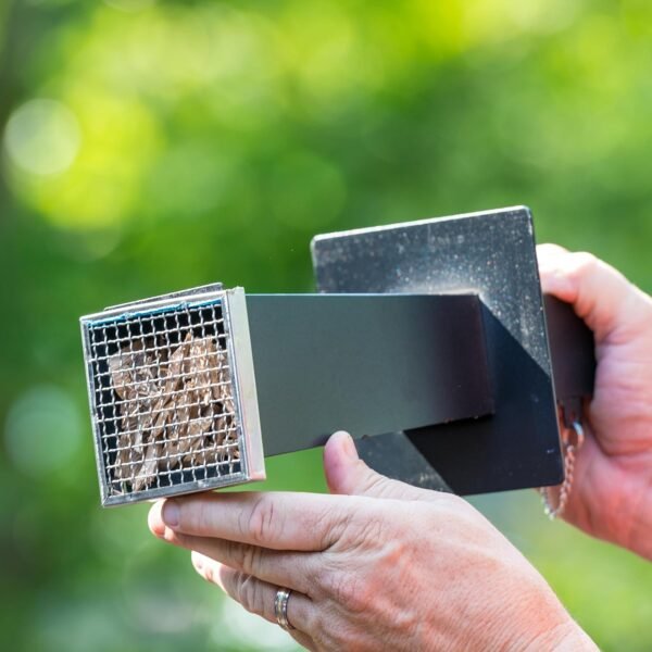 Masterbuilt Slow Smoker Review Continuous Smoke and Easy Cleanup for BBQ Enthusiasts