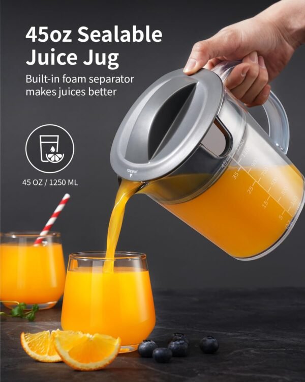 Powerful GDOR Juicer Review 2024 with Titanium Blades and Wide Feed Chute
