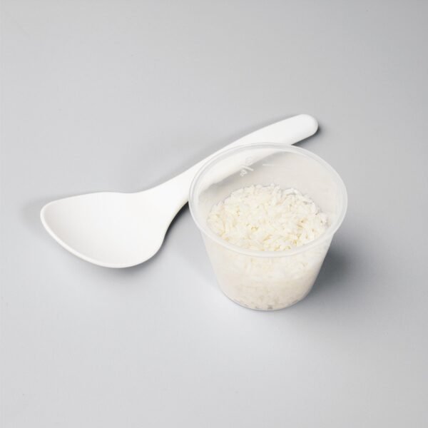 Proctor Silex Rice Cooker Review Automatic Keep Warm and Nonstick Bowl Features