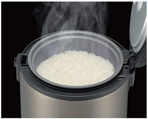 Tiger Electronic Rice Cooker Review Exploring Features and Performance of the JNP-S10U Model