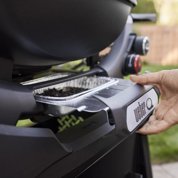 Weber Q 2800N Plus Gas Grill Review Uncovering Performance and Portability Benefits
