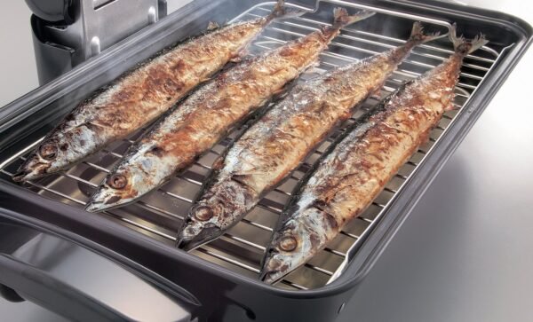 Zojirushi Fish Roaster Review Discover the Best Electric Gourmet Roaster for Smoke-Free Cooking